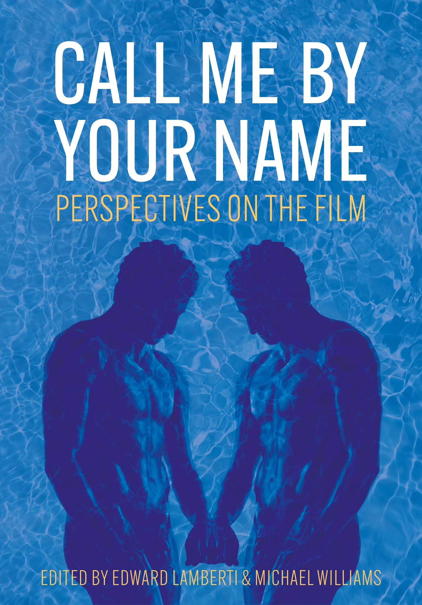 Cover image for Call Me by Your Name ISBN 9781835953570
